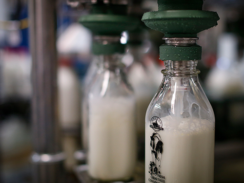 Milk still offered in glass bottles at a local grocery. :  r/mildlyinteresting